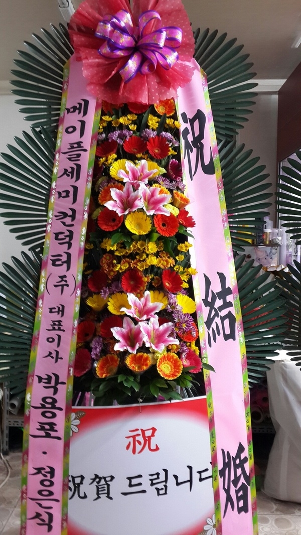 11��11��(�����ε���)