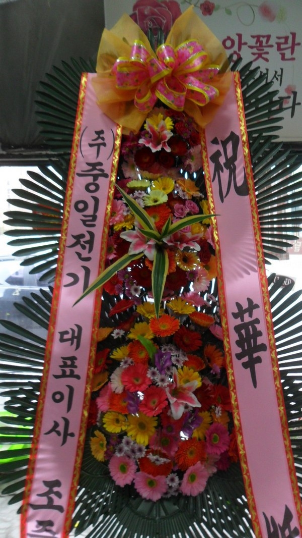 11��11��(�����ε���)