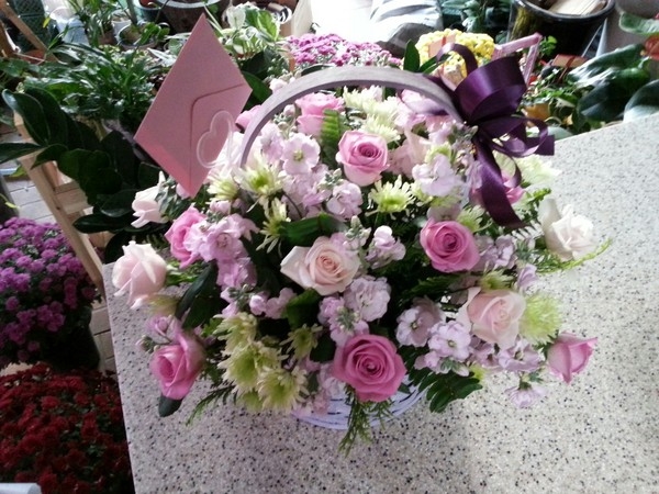 11��11��(�����ε���)