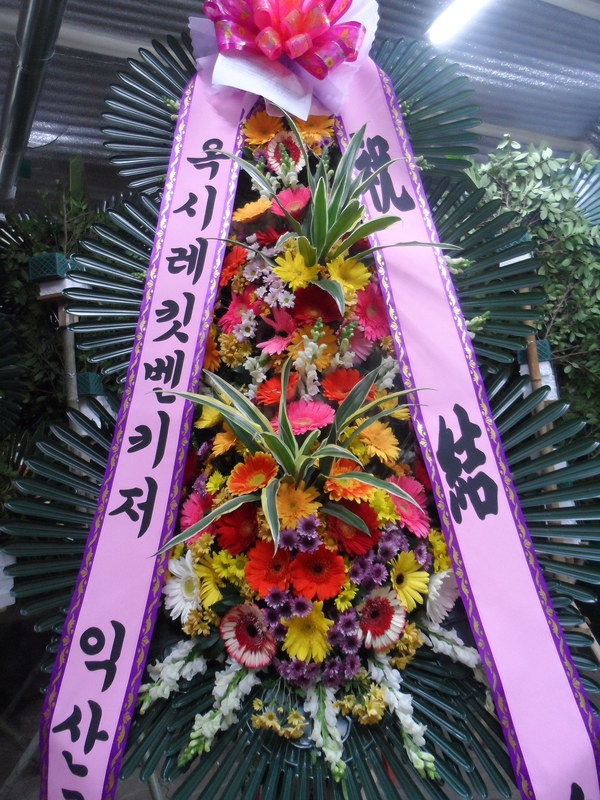 11��11��(�����ε���)