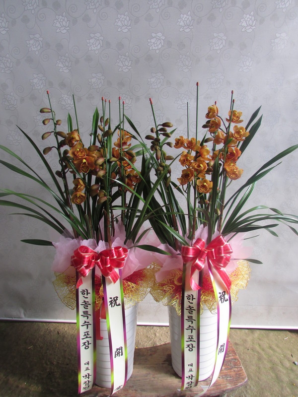 11��11��(�����ε���)