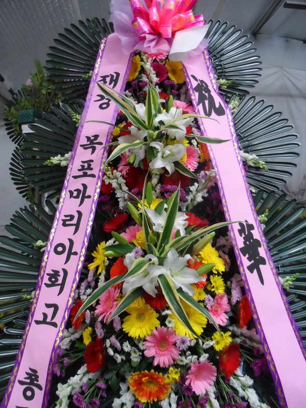 11��11��(�����ε���)