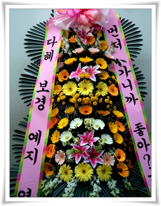 11��11��(�����ε���)