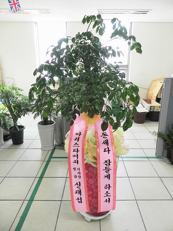 11��11��(�����ε���)