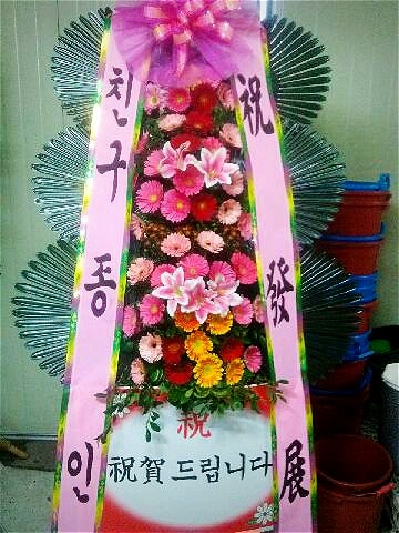 11��18��(������)