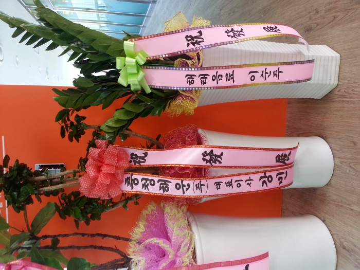 11��18��(������)�����