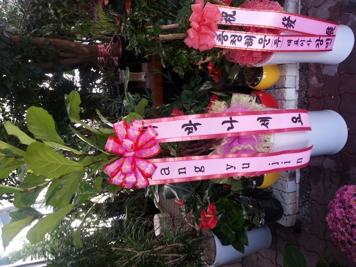 11��18��(������)�����