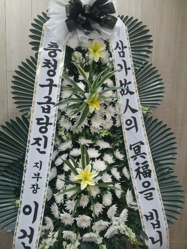 11��22��(�ݿ���)