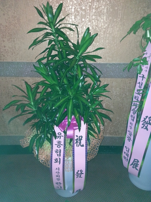 11��22��(�ݿ���)