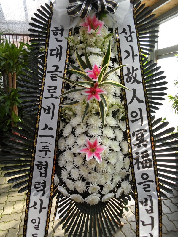 11��22��(�ݿ���)