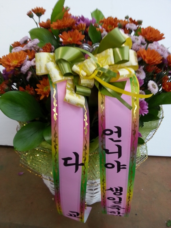 11��22��(�ݿ���)