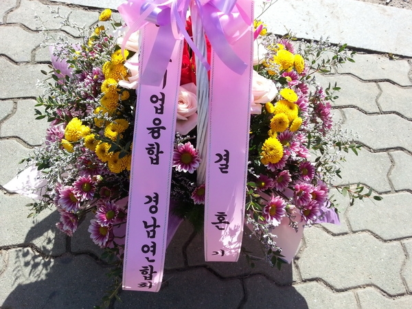 11��22��(�ݿ���)