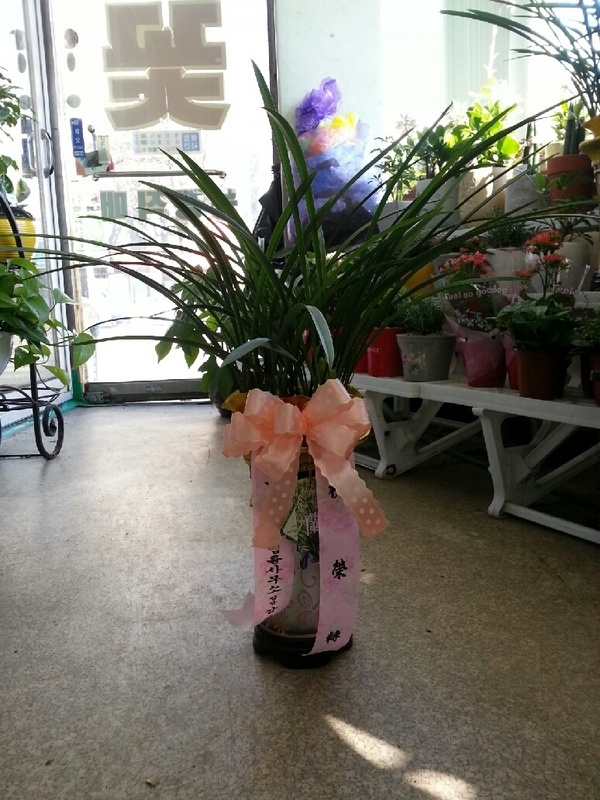 11��22��(�ݿ���)