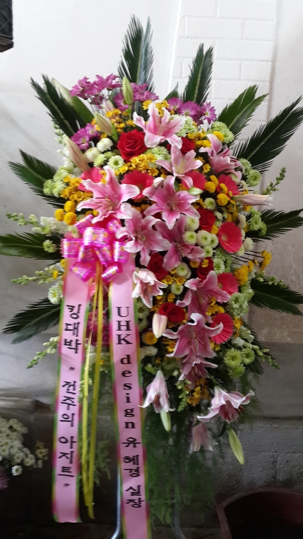 11��22��(�ݿ���)