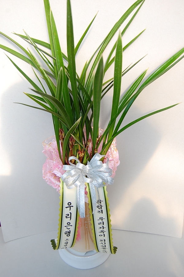 11��22��(�ݿ���)