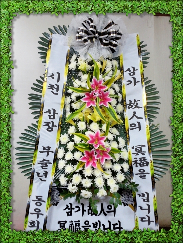 11��22��(�ݿ���)