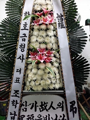 11��23��(�����)