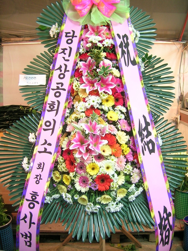 11��23��(�����)