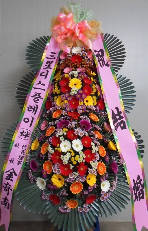 11��23��(�����)