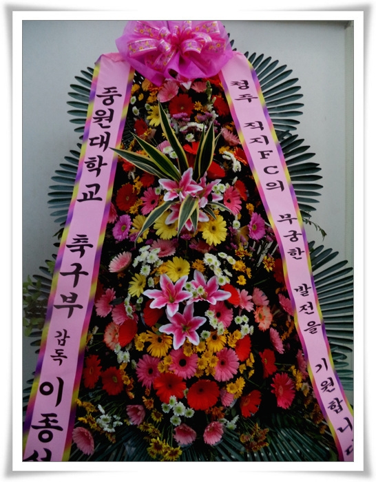 11��23��(�����)