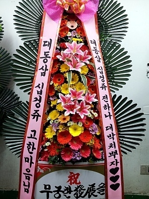 11��23��(�����)