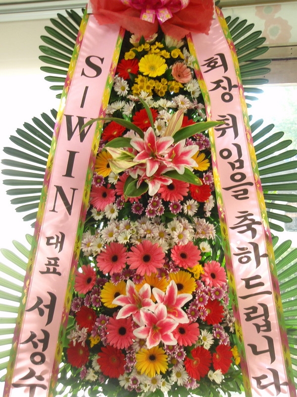 11��23��(�����)