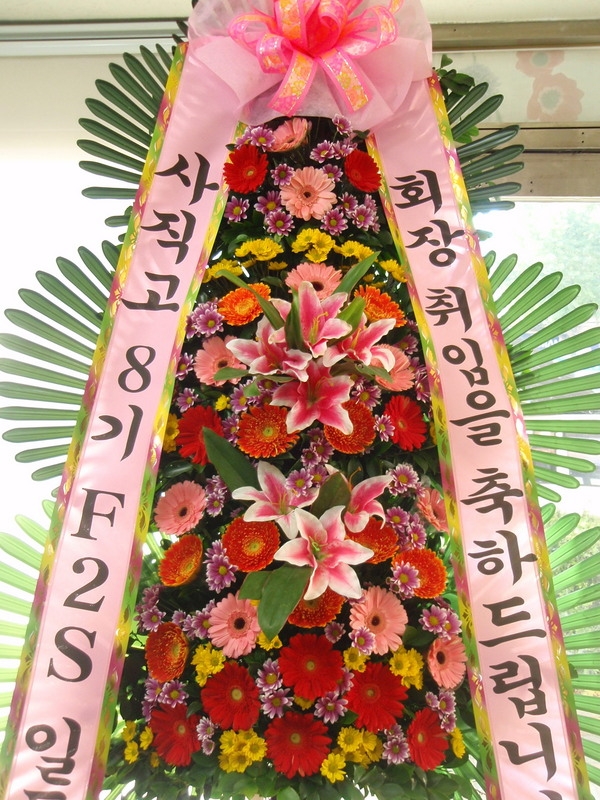 11��23��(�����)