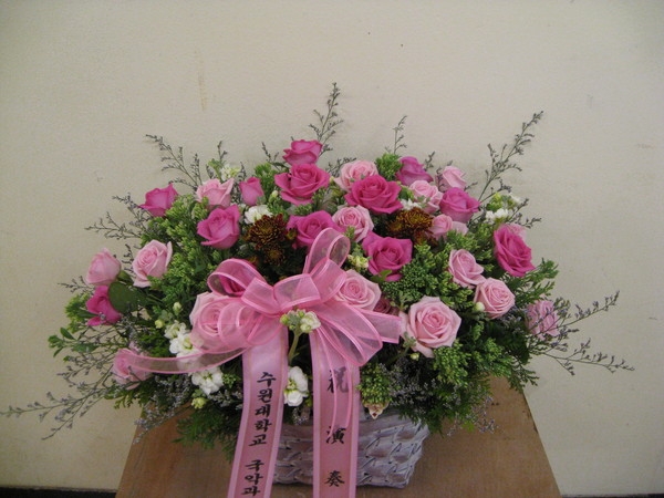 11��23��(�����)