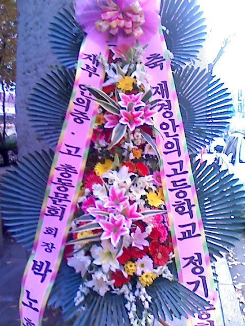 11��23��(�����)