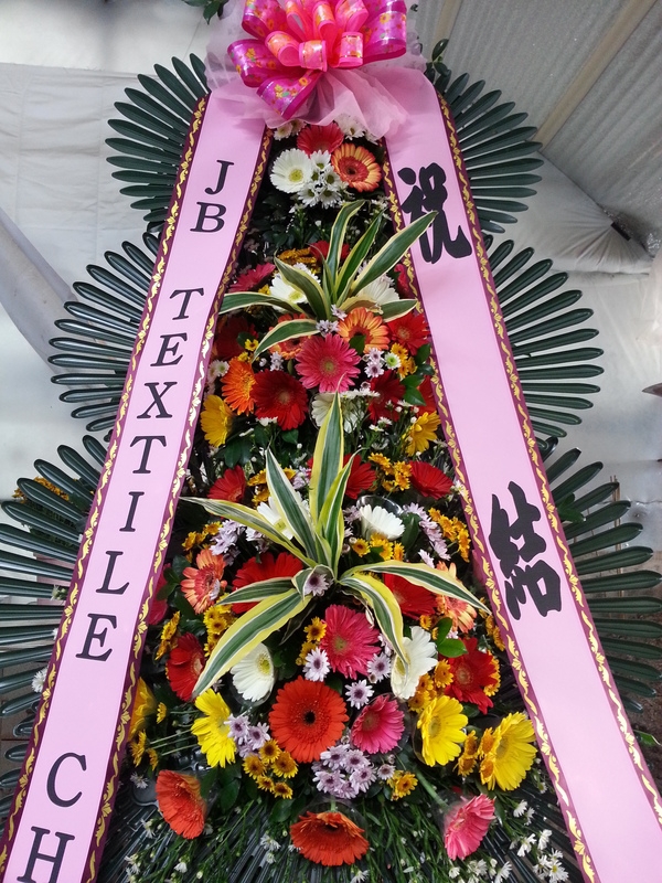 11��23��(�����)