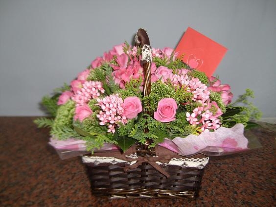 11��23��(�����)