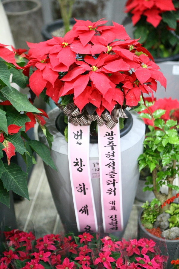 11��29��(��)