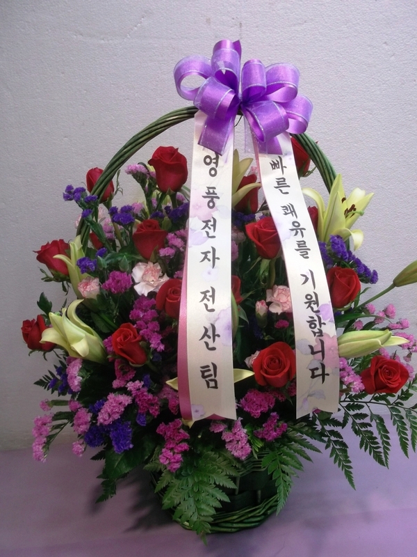 11��29��(��)