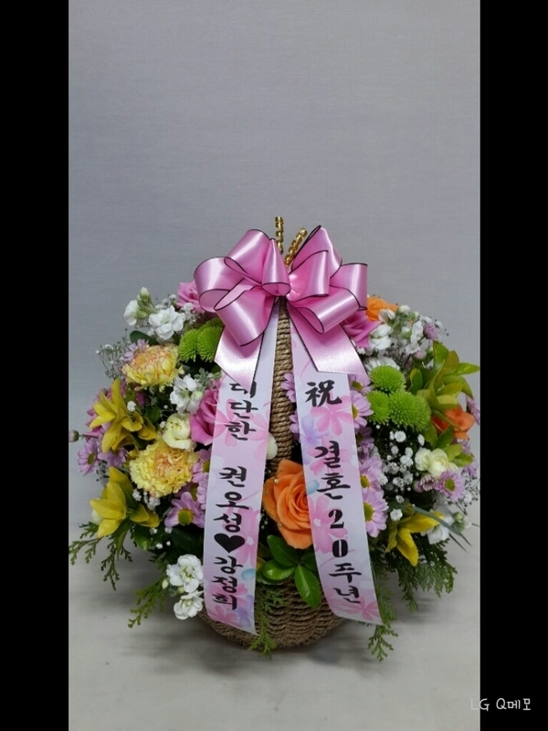 11��29��(��)