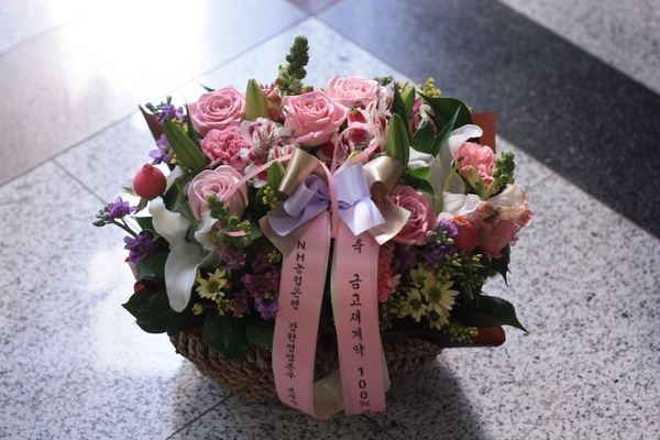 11��29��(��)