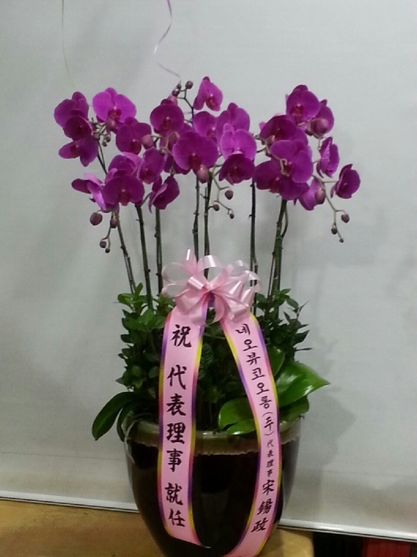 11��29��(��)