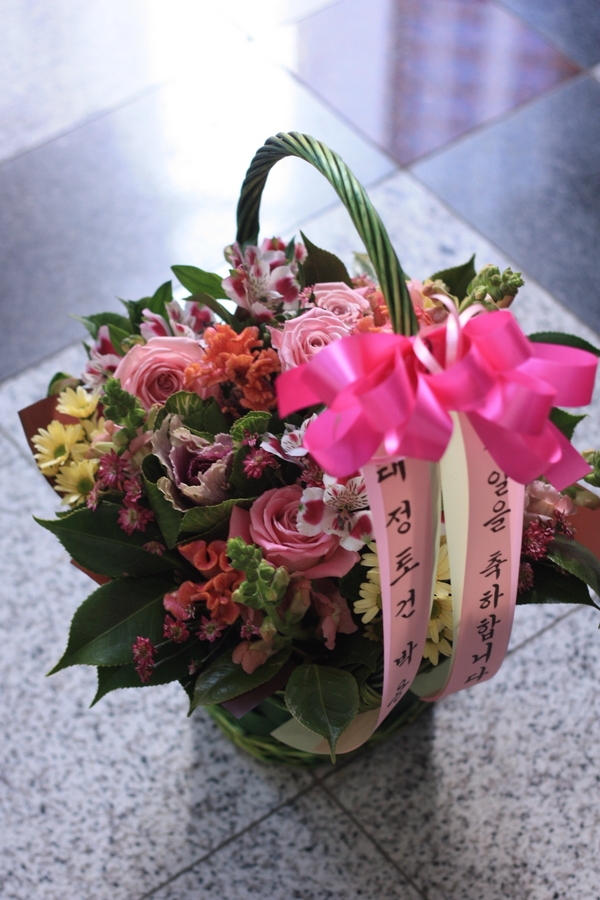 11��29��(��)