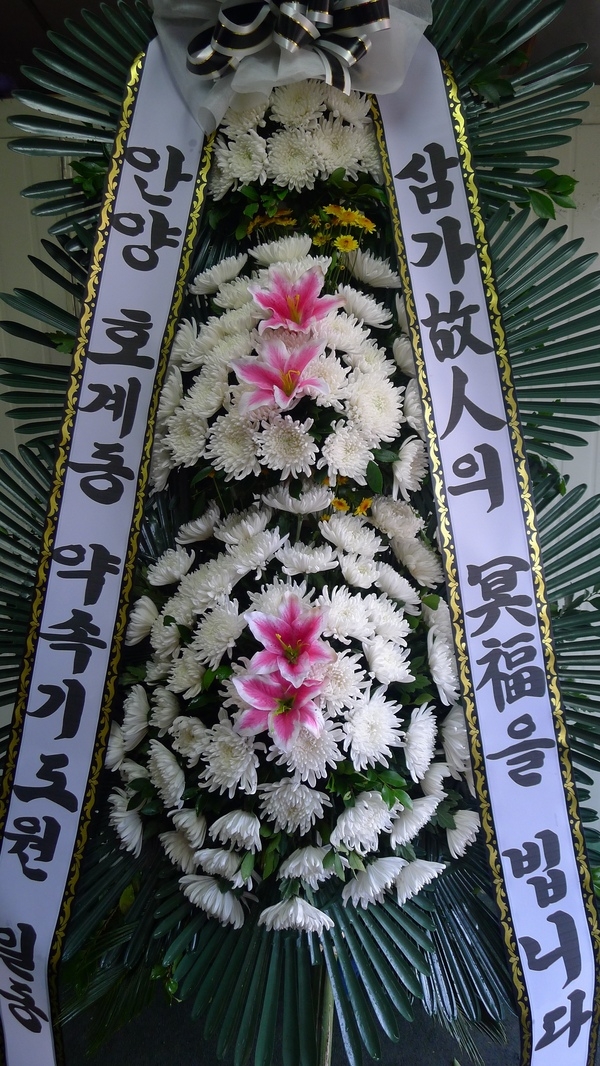 11��29��(��)