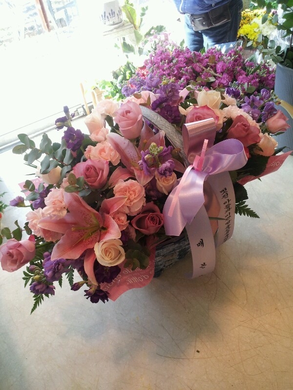 11��29��(��)