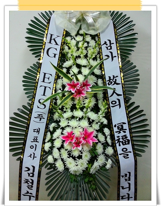 11��29��(��)