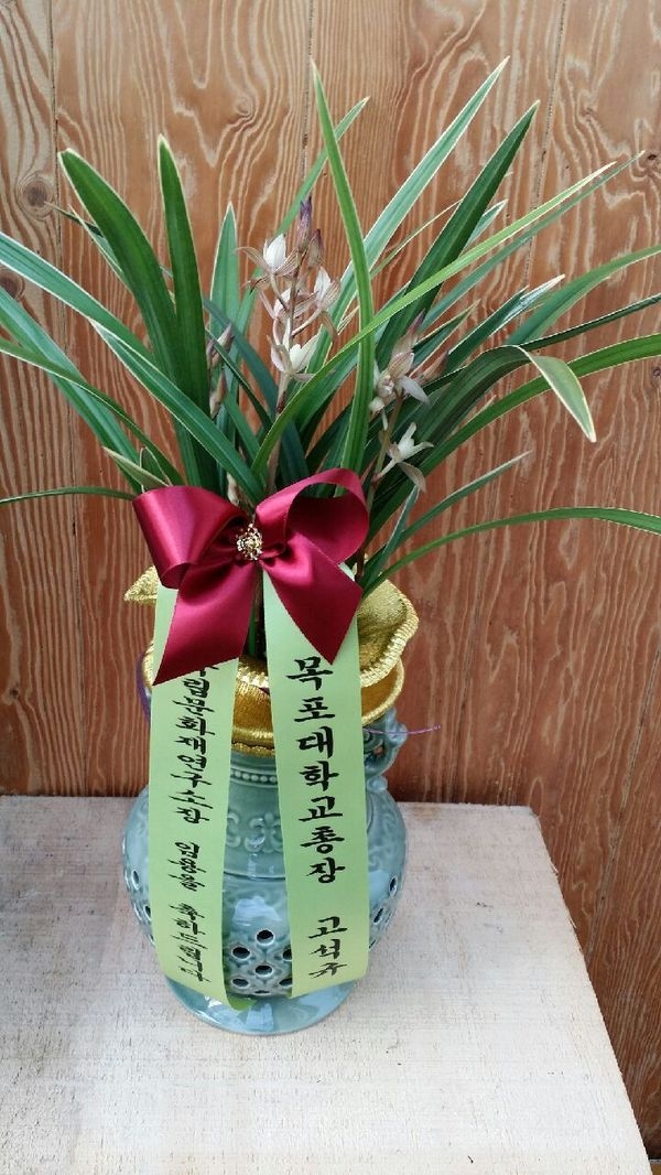 11��29��(��)