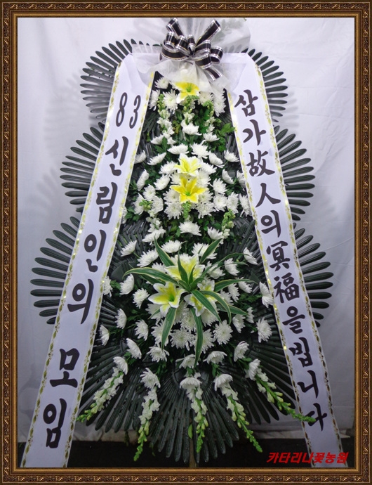 11��29��(��)