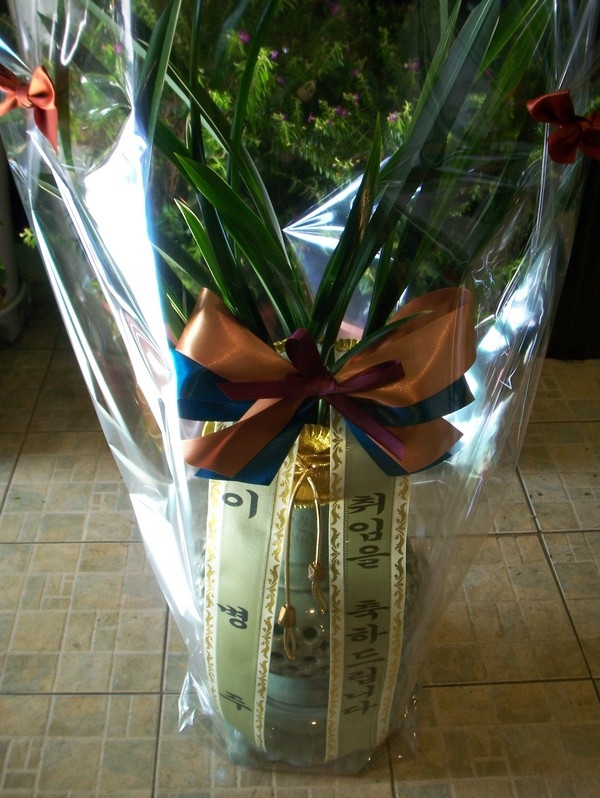 11��29��(��)