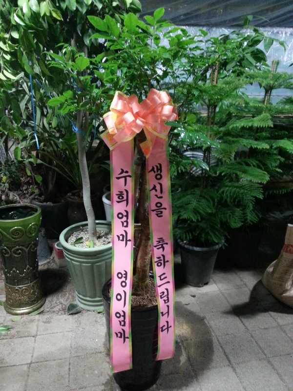 12��4��(������)