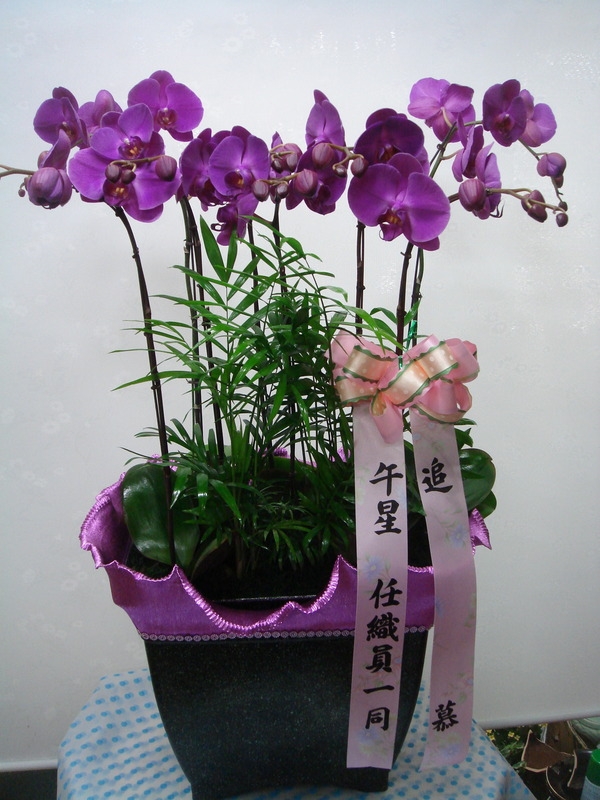 12��4��(������)