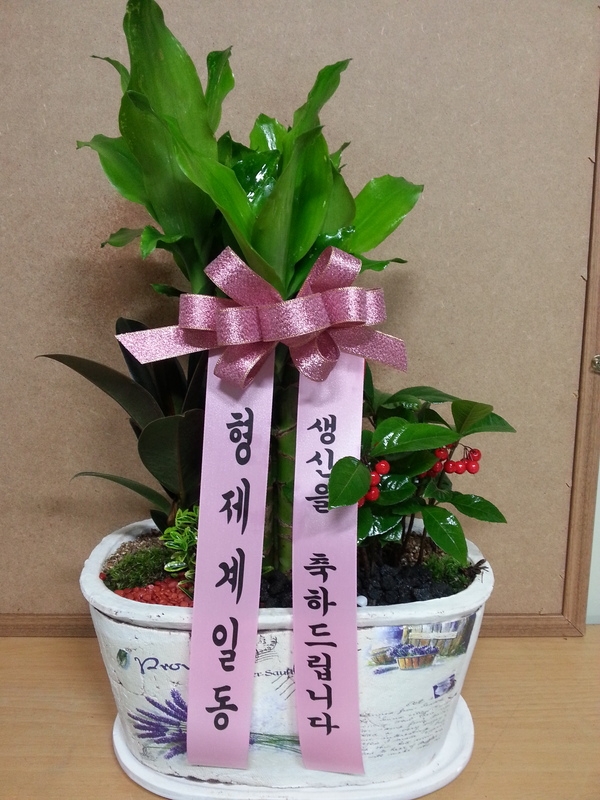 12��4��(������)