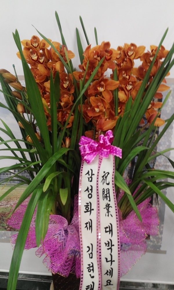 12��4��(������)