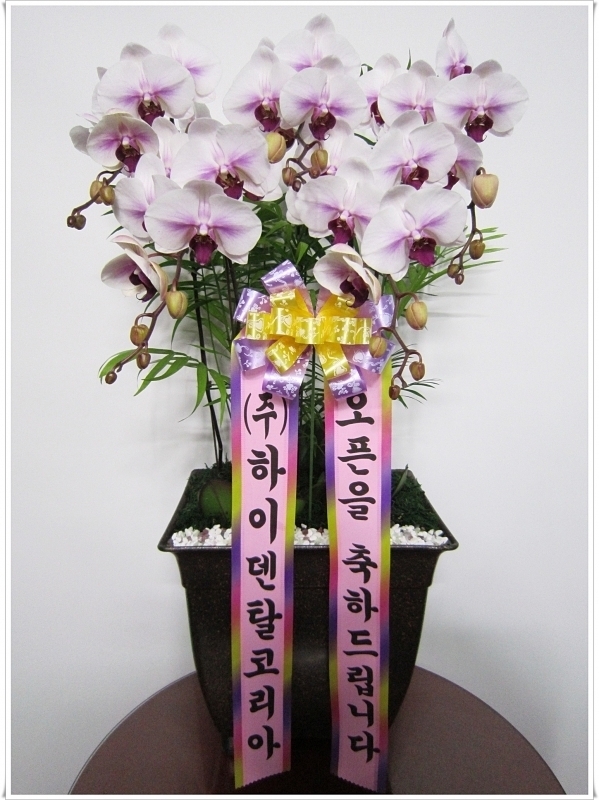 12��4��(������)