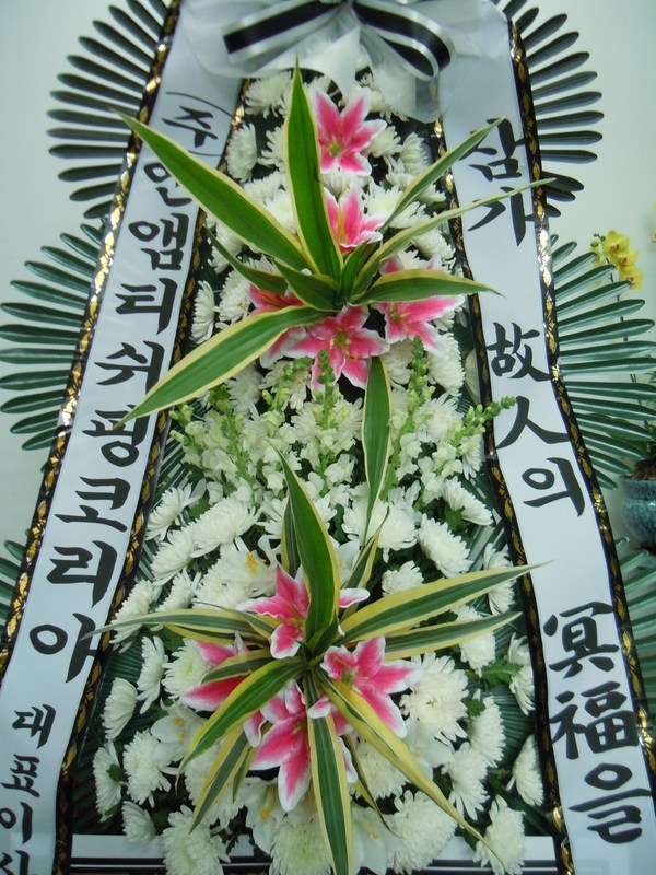 12��4��(������)