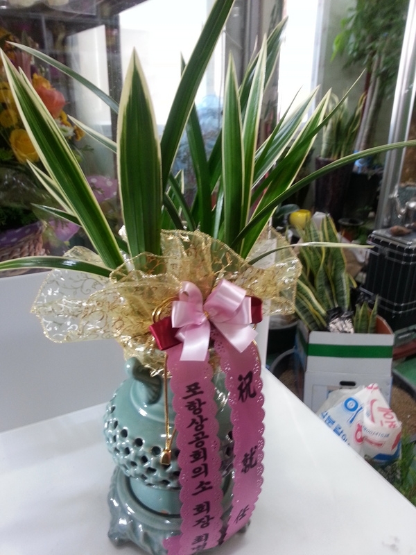 12��4��(������)